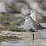 thumbs/IMG_2205.jpg
